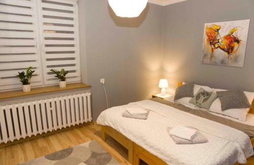 Zywiec Apartamento | Apartament Grapa