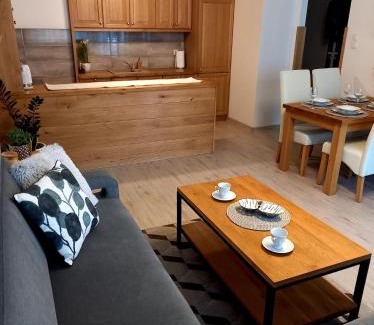 Starogard Gdanski Apartamento | Apartament Green Park