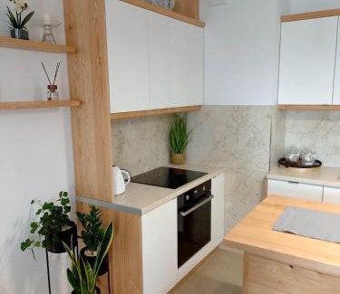 Starogard Gdanski Apartamento | Apartament Green Park 2