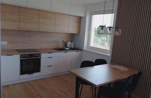 Rybno Apartamento | Apartament Green Town Rybno Warmia Mazury