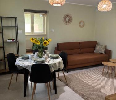 Zbiczno Apartamento | Apartament Grzmięca pl
