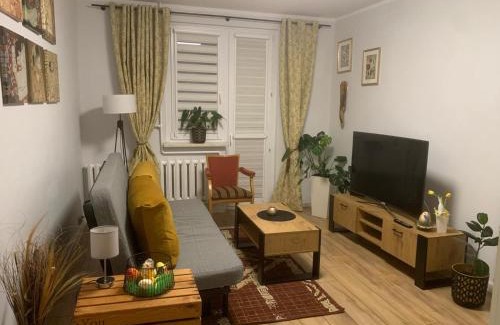 Zawiercie Apartamento | Apartament Gustav