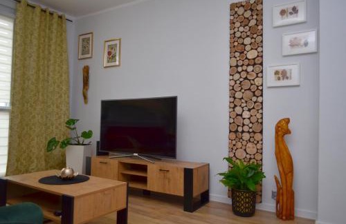 Zawiercie Apartamento | Apartament Gustav
