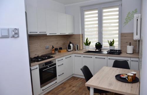Zawiercie Apartamento | Apartament Gustav