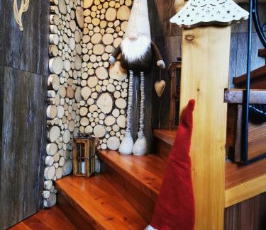 Poronin Apartamento | Apartament Hawrań Murzasichle Apartamenty Murzasichle PL