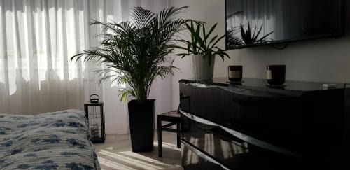 Dziaki Lesne Apartamento | Apartament I Love Gdynia