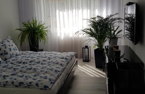 Dziaki Lesne Apartamento | Apartament I Love Gdynia
