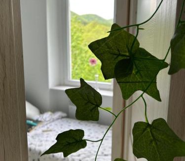 Jedlina-Zdroj Apartamento | Apartament Jedlinka