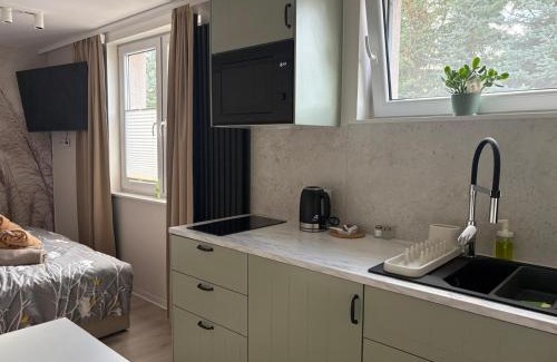 Lubniewice Apartamento | Apartament K&M w Lubniewicach