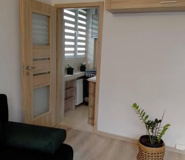 Zamosc Apartamento | Apartament Kinga