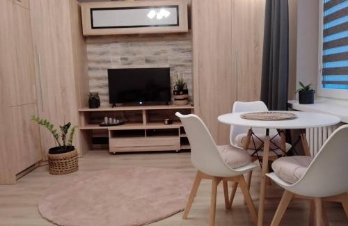 Zamosc Apartamento | Apartament Kinga