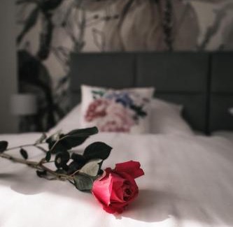 Slupsk Apartamento | Apartament Komfort