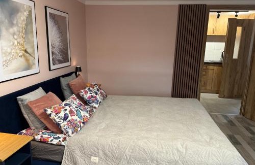 Krasnystaw Apartamento | Apartament Krasnostawski