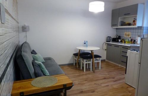 Bytom Apartamento | Apartament Kraszewskiego