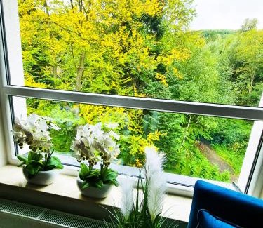 Porabka Apartamento | Apartament Kurort Kozubnik Wilcza Wataha