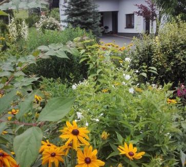 Spytkowice Apartamento | Apartament Leszczynowa 7 blisko Zatora