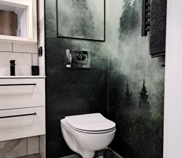 Piechowice Apartamento | Apartament Lipova