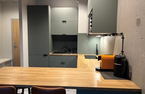 Chorzow Apartamento | Apartament LOFT M84