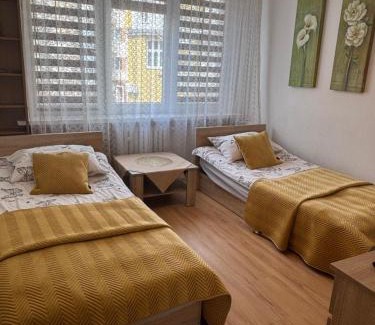 West Pomeranian Voivodeship Apartamento | Apartament Lopuskiego 16