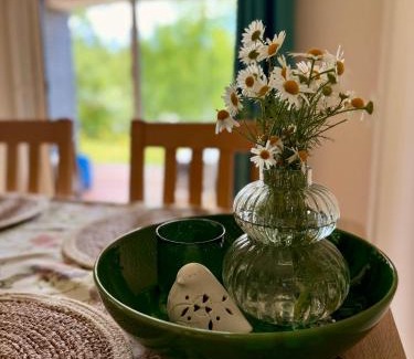 Hajnowka Apartamento | Apartament Magia Puszczy z widokiem na Puszcze Białowieska
