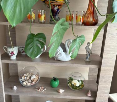 Sandomierz Apartamento | APARTAMENT MAGNOLIA