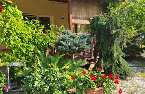 Klodzko Miasto Apartamento | Apartament Malinowa Dolina
