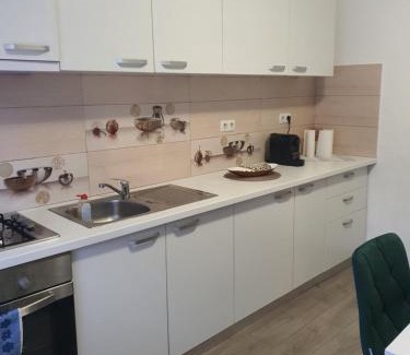 Alba Iulia Apartamento | Apartament Mara