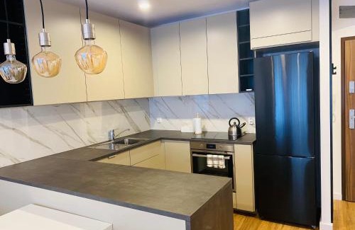 Zielona Gora Apartamento | Apartament Mgła