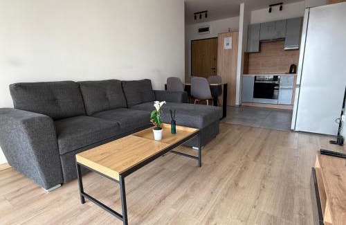 Gizycko Apartamento | Apartament Mike - free parking self check-in