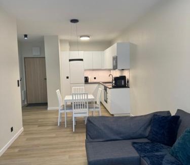 Centrum Apartamento | Apartament Moniuszki