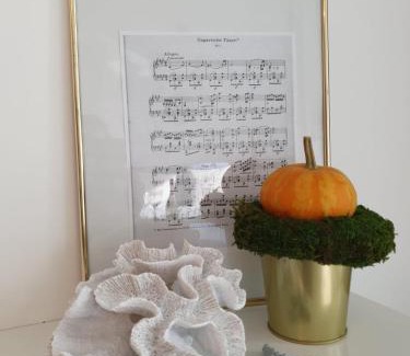 Grzybowo Apartamento | Apartament Musica Baltica Sunset Resort