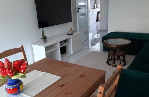 Oswiecim Apartamento | Apartament na 9. piętrze