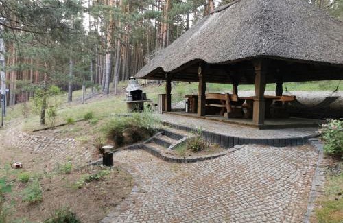 Swornegacie Apartamento | Apartament na skarpie z widokiem na jezioro Swornegacie