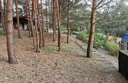 Swornegacie Apartamento | Apartament na skarpie z widokiem na jezioro Swornegacie