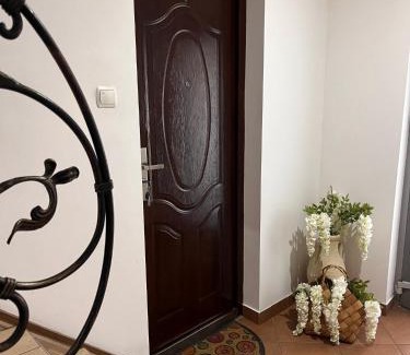 Pszczyna Apartamento | Apartament na Starówce Boho