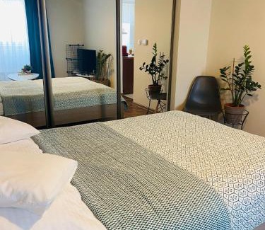 Pszczyna Apartamento | Apartament na Starówce VI