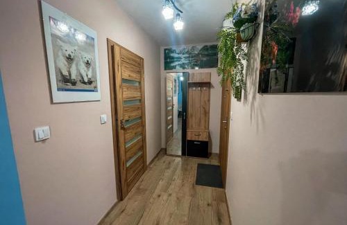 Zamosc Apartamento | Apartament Nad Łabuńką
