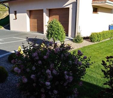Golubie Apartamento | Apartament Nad Jeziorem Kaszuby