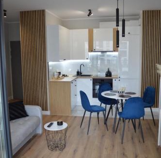 Torun Apartamento | Apartament NATURIA-Blue