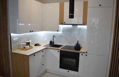 Torun Apartamento | Apartament NATURIA-Blue