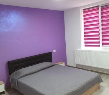 Barlad Apartamento | Apartament negris