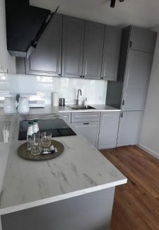 Centrum Apartamento | Apartament Nel