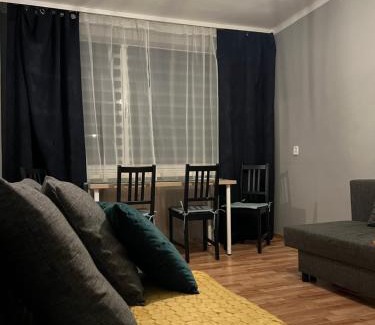 Zawiercie Apartamento | Apartament Nowowierzbowa 16 Zawiercie