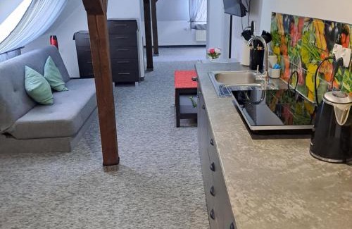 Bierutowice Apartamento | Apartament nr 11