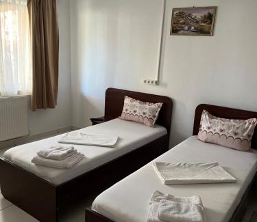 Emanoil Gojdu Apartamento | Apartament Octav