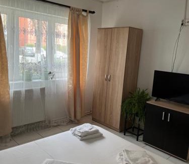 Emanoil Gojdu Apartamento | Apartament Octav