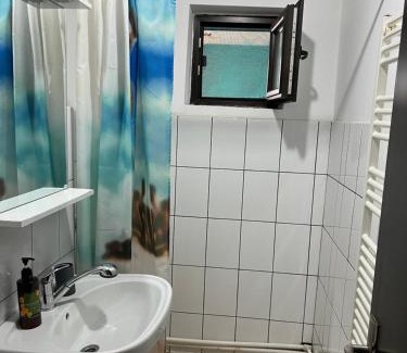 Emanoil Gojdu Apartamento | Apartament Octav