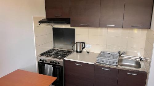 Muszyna Apartamento | Apartament Ogrodowa BIS