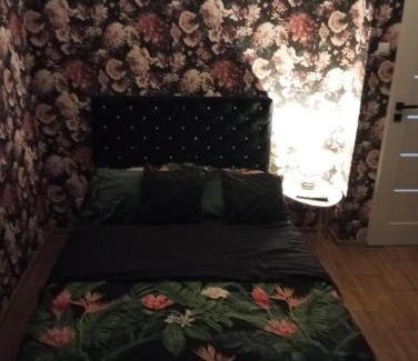 Wloclawek Apartamento | Apartament Okrzei