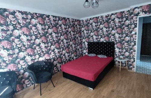 Wloclawek Apartamento | Apartament Okrzei